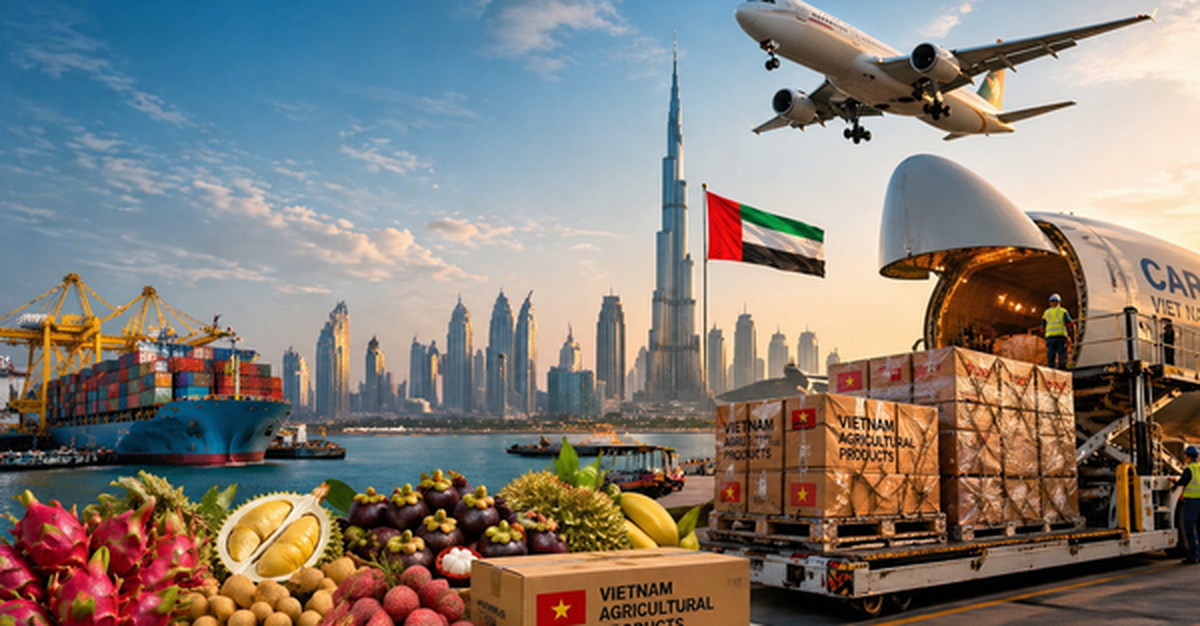 Lần đầu tiên siêu tập đoàn 8 tỷ USD thuê máy bay chở 100 tấn rau quả Việt, tin cực vui cho doanh nghiệp xuất khẩu sang Trung Đông