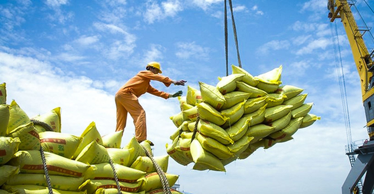 Một mặt hàng "tỷ đô" của Việt Nam đón tin cực vui từ Philippines và Trung Quốc - triển vọng mang về 5 tỷ USD
