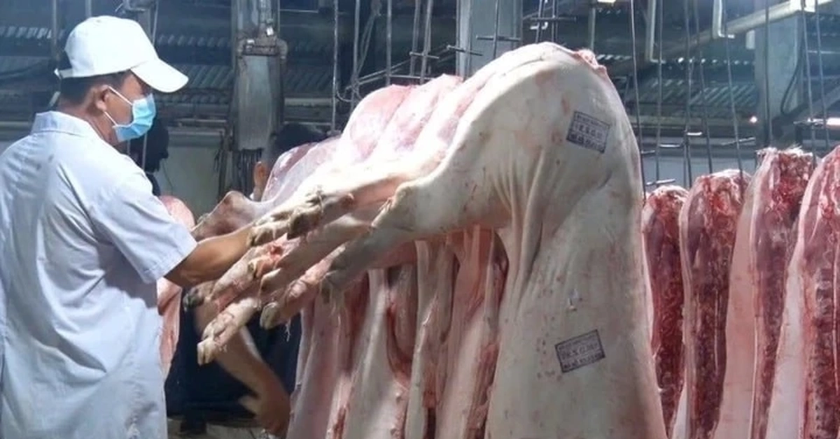 Cựu cán bộ Cục Thú y: "Kiểm dịch là mảnh đất màu mỡ, béo bở nhất"