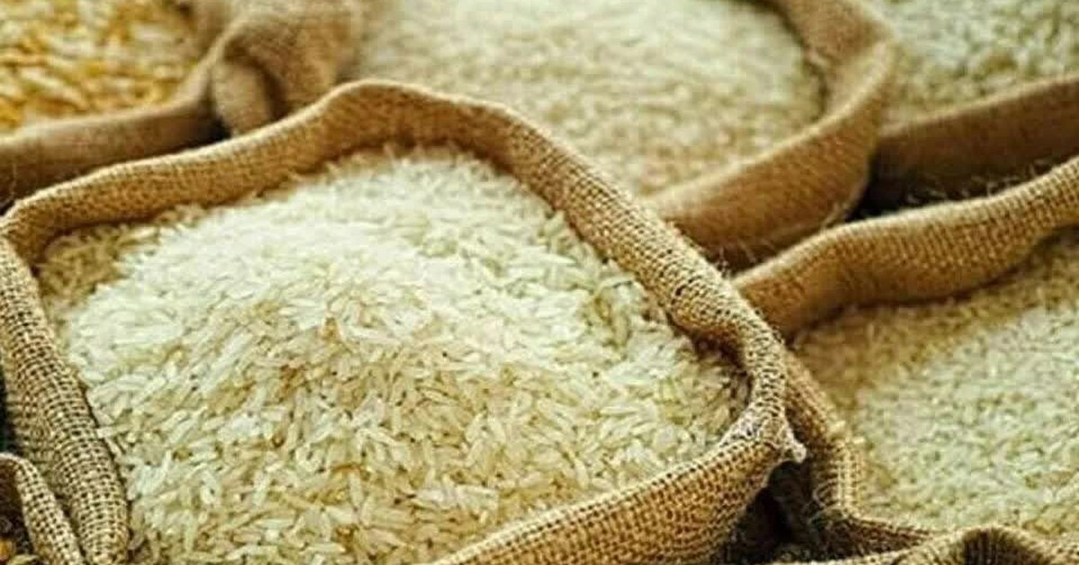 Giá gạo toàn cầu dự báo tăng mạnh