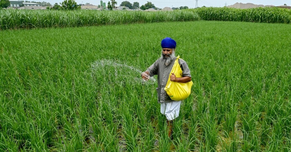Giá mặt hàng quan trọng tăng sốc tới 83%, một quốc gia BRICS lập tức "cầu cứu" từ Nga đến Việt Nam để nhập khẩu
