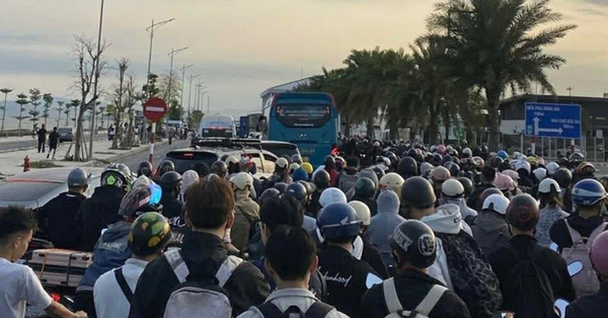 Ô tô, xe máy xếp hàng dài cả cây số chờ qua phà ra Cát Bà
