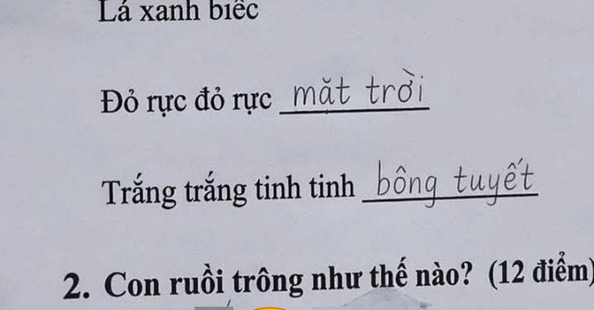 Bài văn tả con ruồi của một học sinh khiến dân tình cười vỡ bụng: Rất MẤT VỆ SINH nhưng đúng với thực tế!