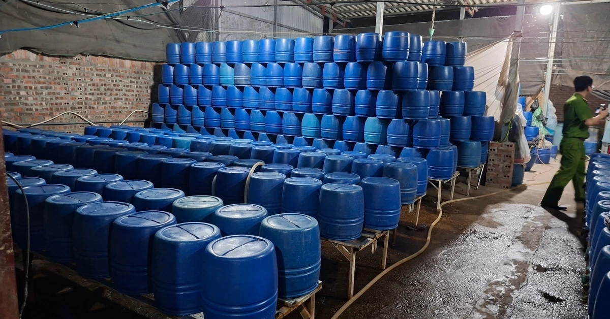 Dùng chất độc có thể gây chết người để sản xuất hơn 500 tấn giá đỗ