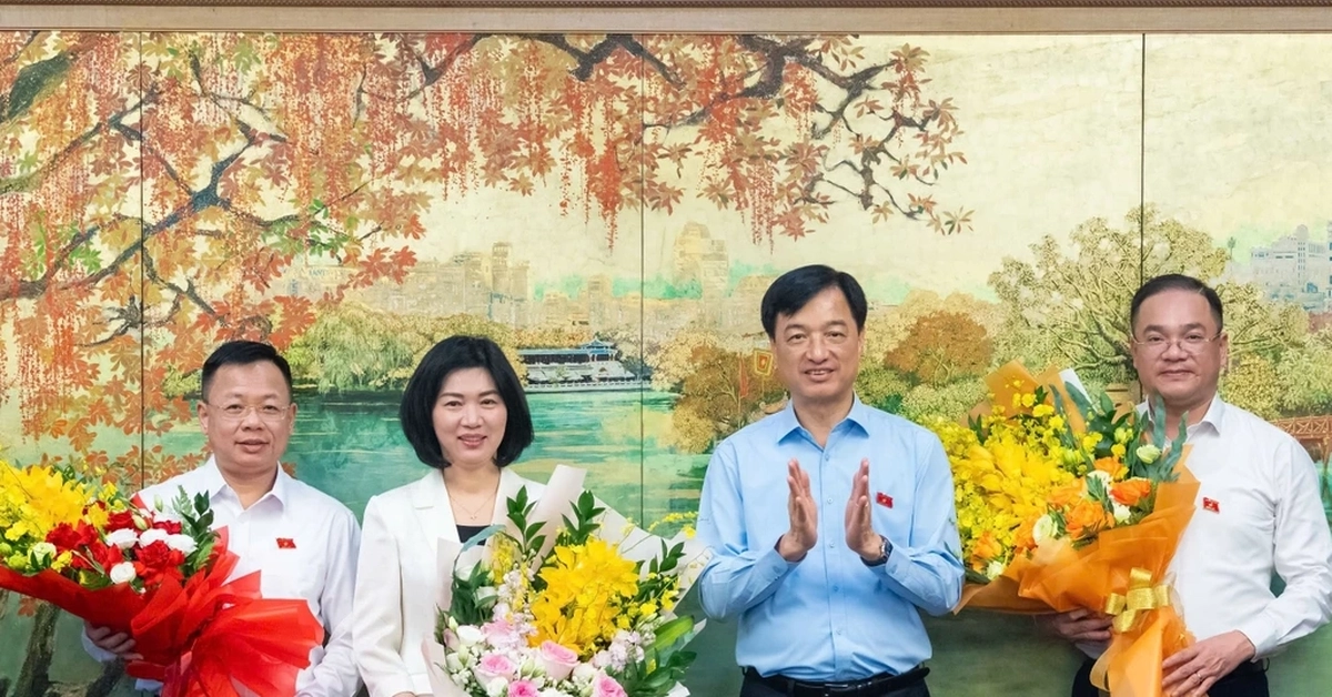 Hà Nội bầu Phó Trưởng đoàn ĐBQH và đại biểu chuyên trách