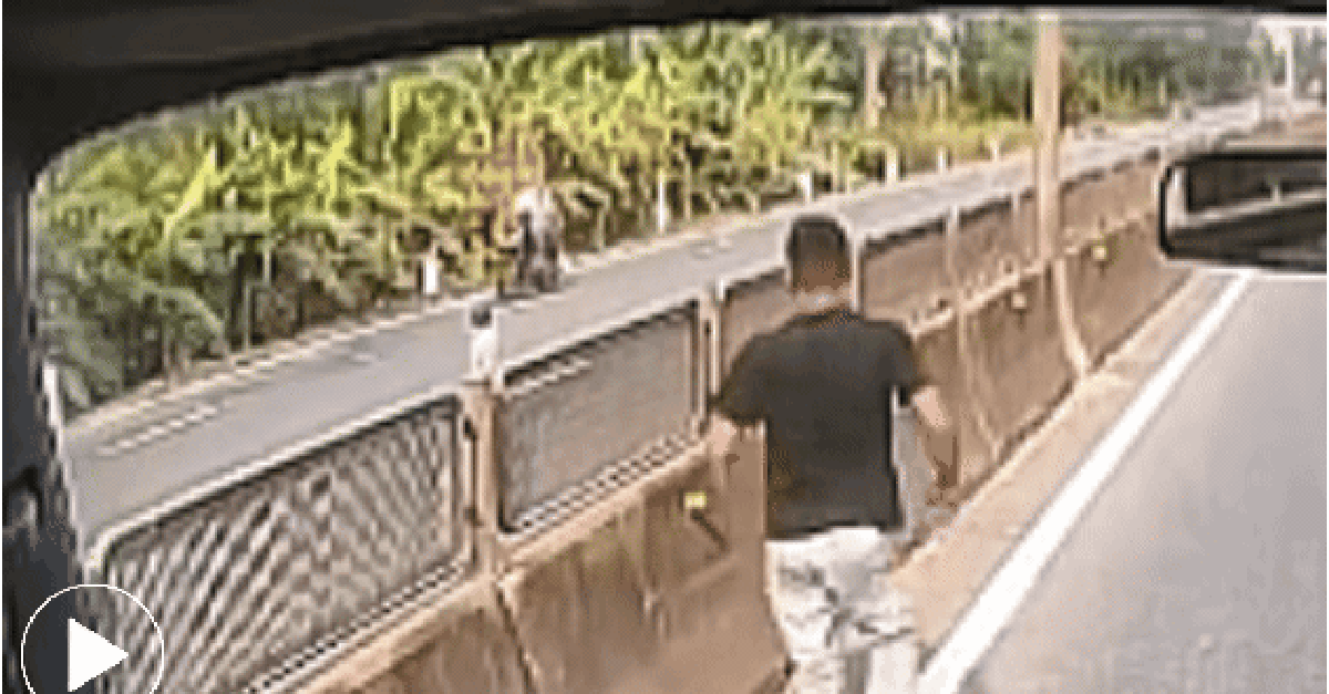 CSGT nói gì về hành động dừng xe giữa quốc lộ cứu bé gái của nam tài xế?