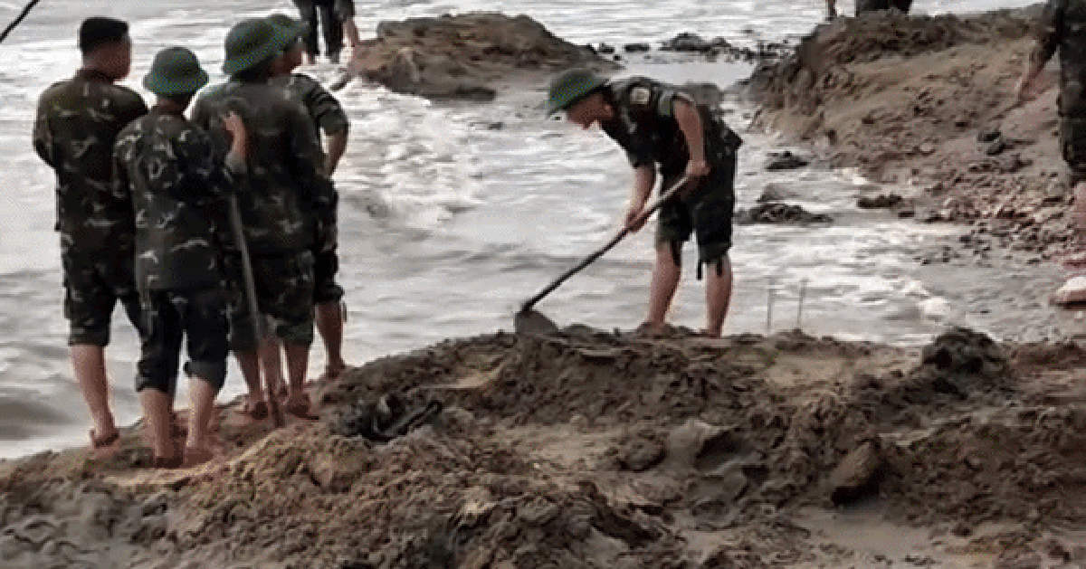 Bờ biển Quy Nhơn: Cảnh tượng lạ khiến du khách bất ngờ