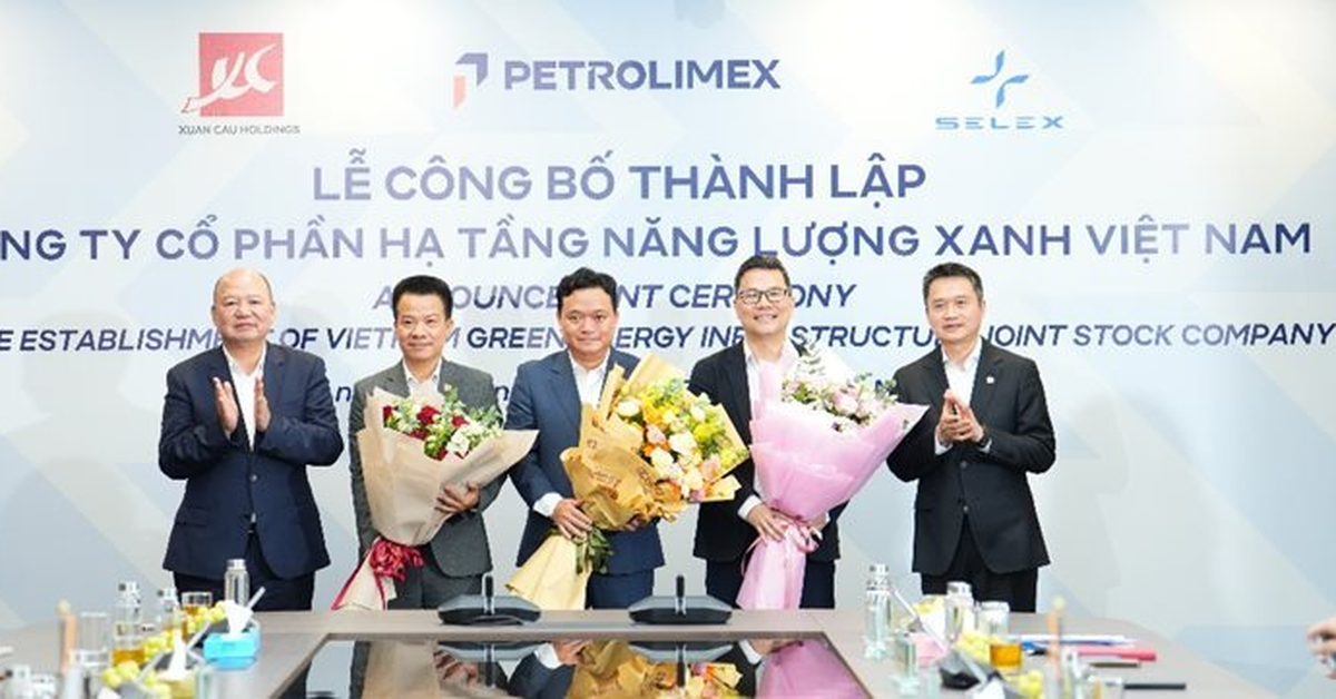 Petrolimex góp bao nhiêu vốn khi bắt tay Xuân Cầu Holdings và Selex Motors xây trạm sạc?