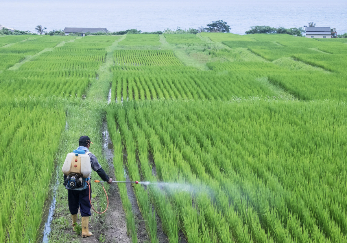 Phát minh của Trung Quốc xoay chuyển ngành phân bón: Ép chất thải độc hại thành nguyên liệu cho nông nghiệp, hiệu suất cao gấp 3 lần bình thường
