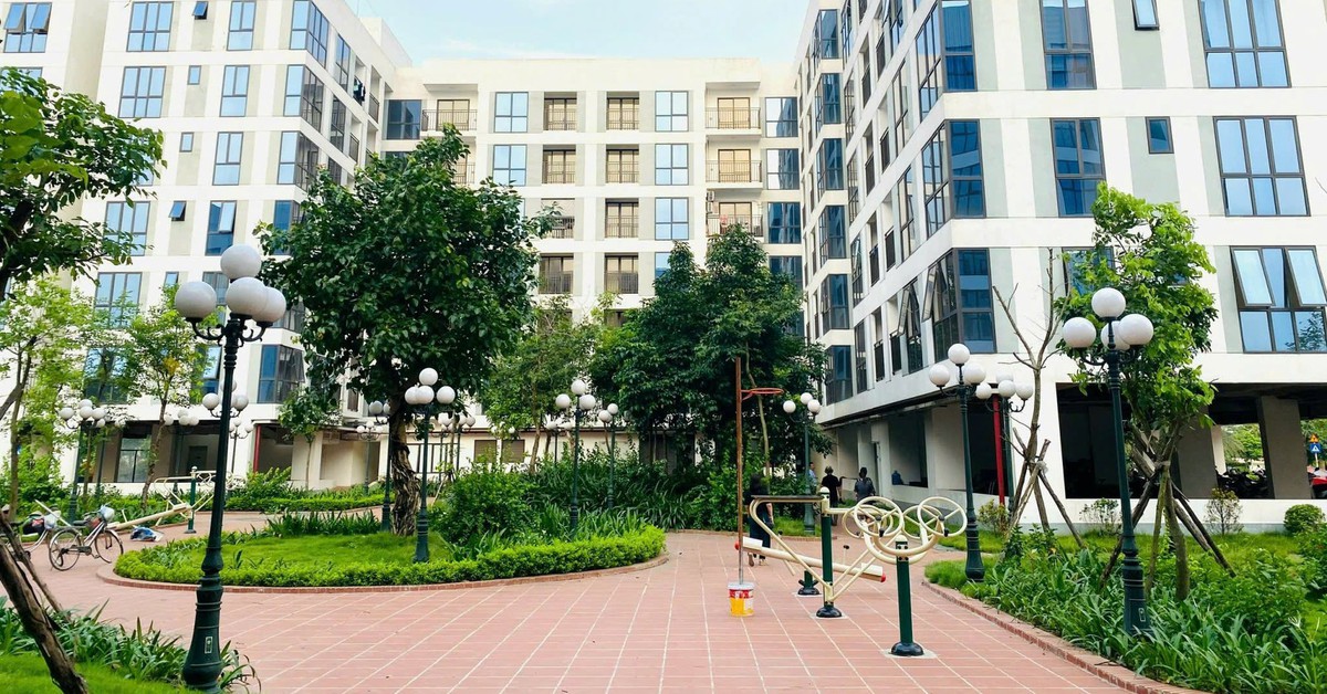 Có đất ở quê vẫn được mua nhà ở xã hội Hà Nội?