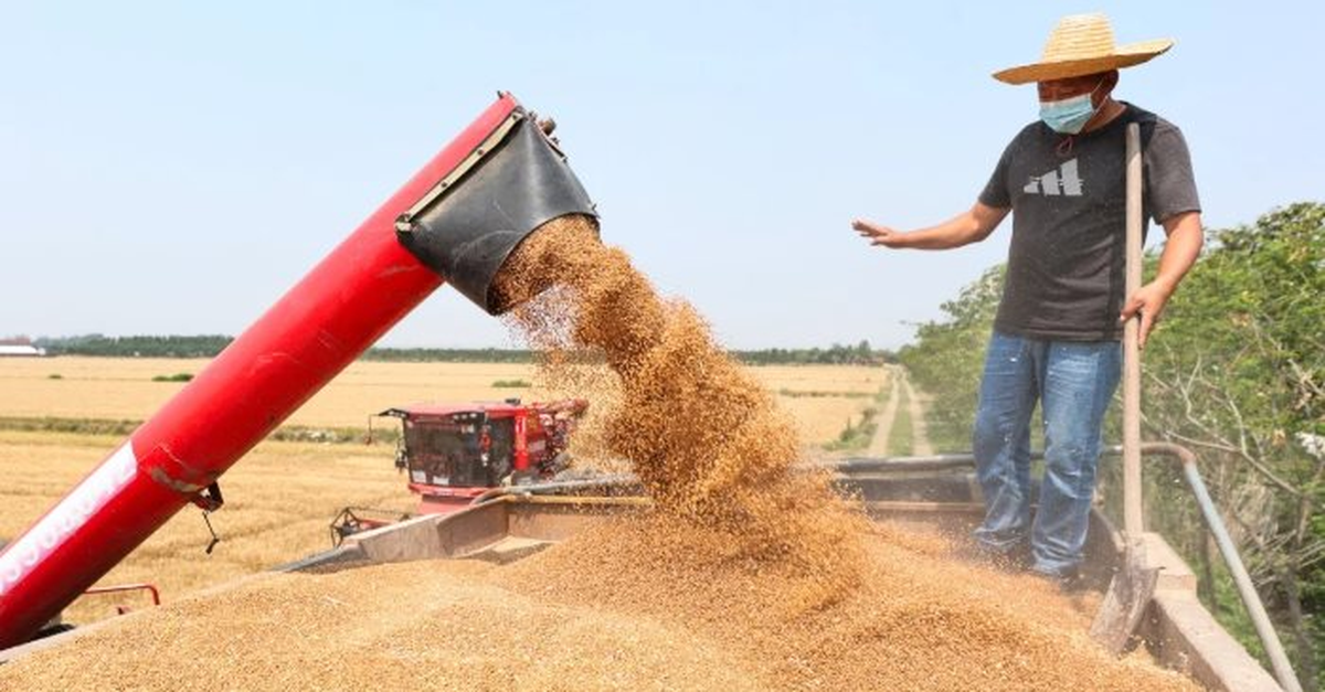 Không phải sầu riêng, Campuchia vừa đón tin cực vui ở mặt hàng đang cạnh tranh với Việt Nam - Trung Quốc góp công lớn