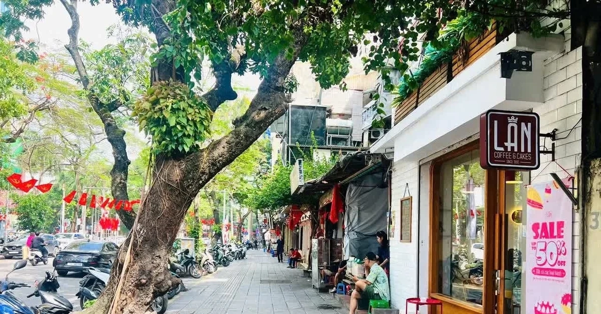 Hà Nội dự kiến cho thuê vỉa hè để kinh doanh tại phường Hoàn Kiếm, Cửa Nam