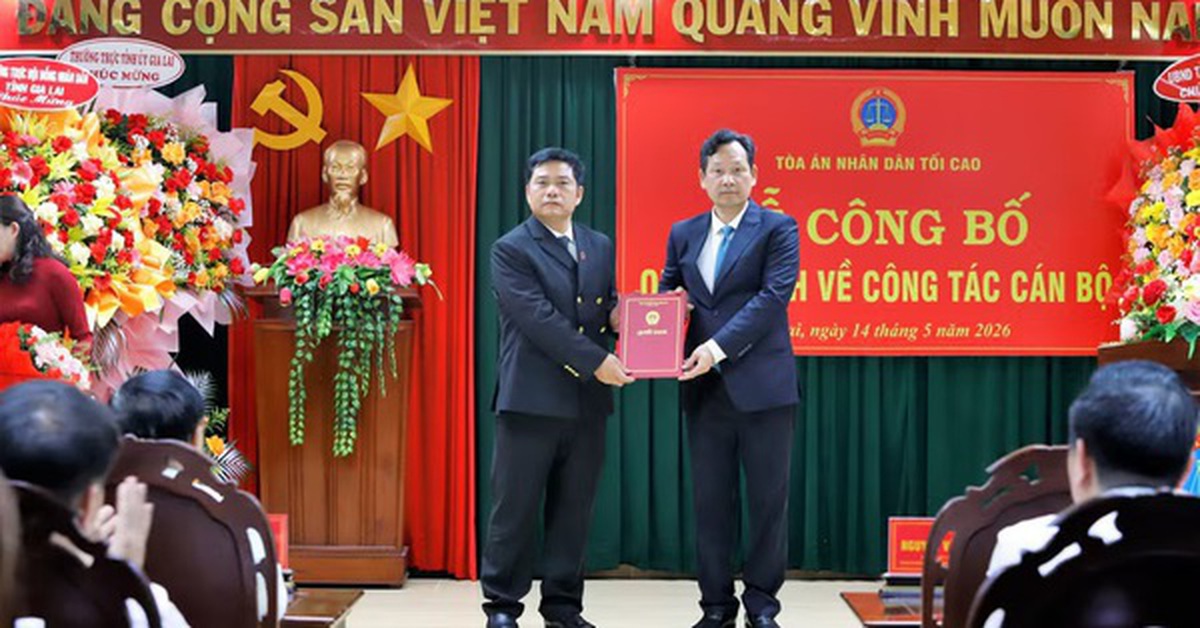 Ông Bùi Danh Đại làm Chánh án TAND tỉnh Gia Lai