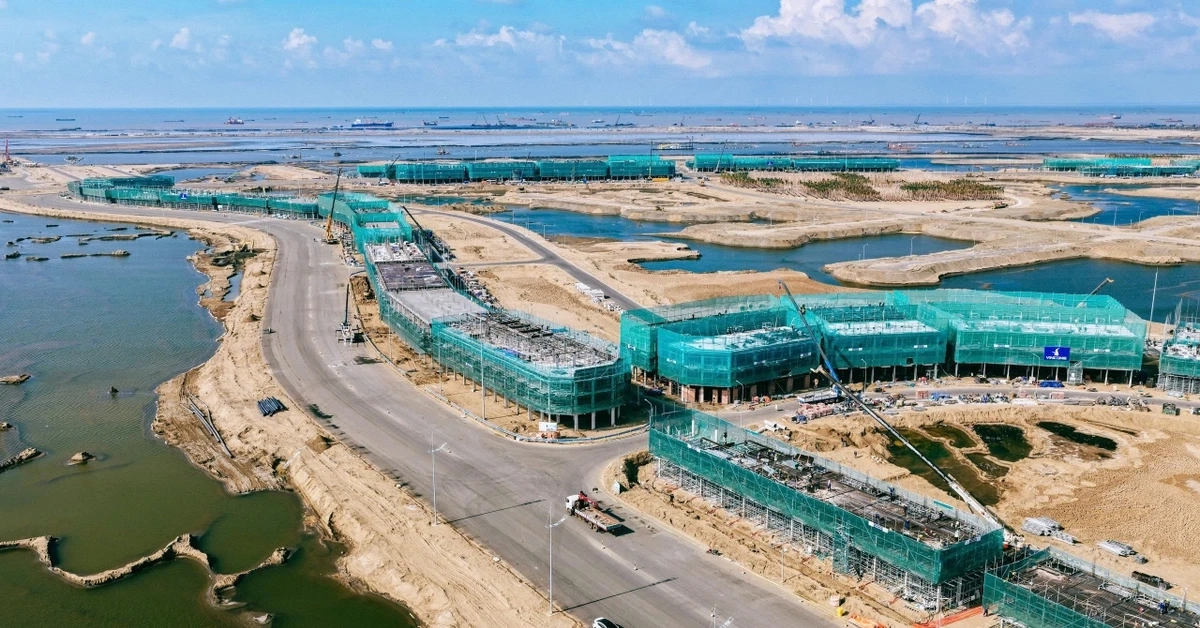 Thay đổi kỳ lạ sau một năm ở "siêu dự án" lấn biển Cần Giờ