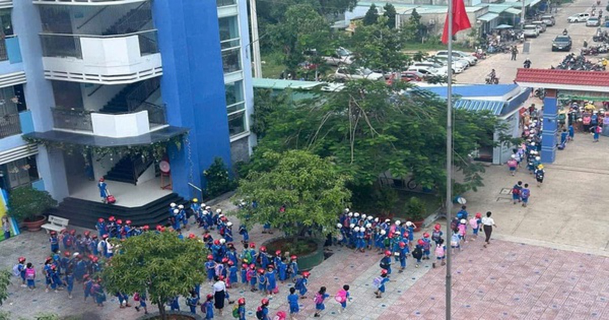 TPHCM: Hiệu trưởng Trường Tiểu học Lương Thế Vinh nói gì sau khi xin thôi chức?