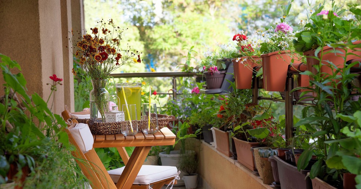 5 điều nhất định phải tránh khi trồng cây ở ban công