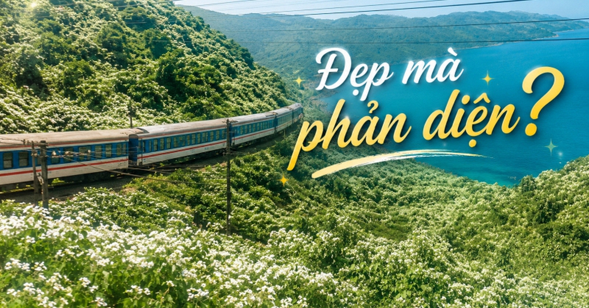 Thiên đường hạ giới" đang phủ trắng muốt đèo Hải Vân khiến bao người đắm say: Đẹp đến đâu, đáng lo đến đó!