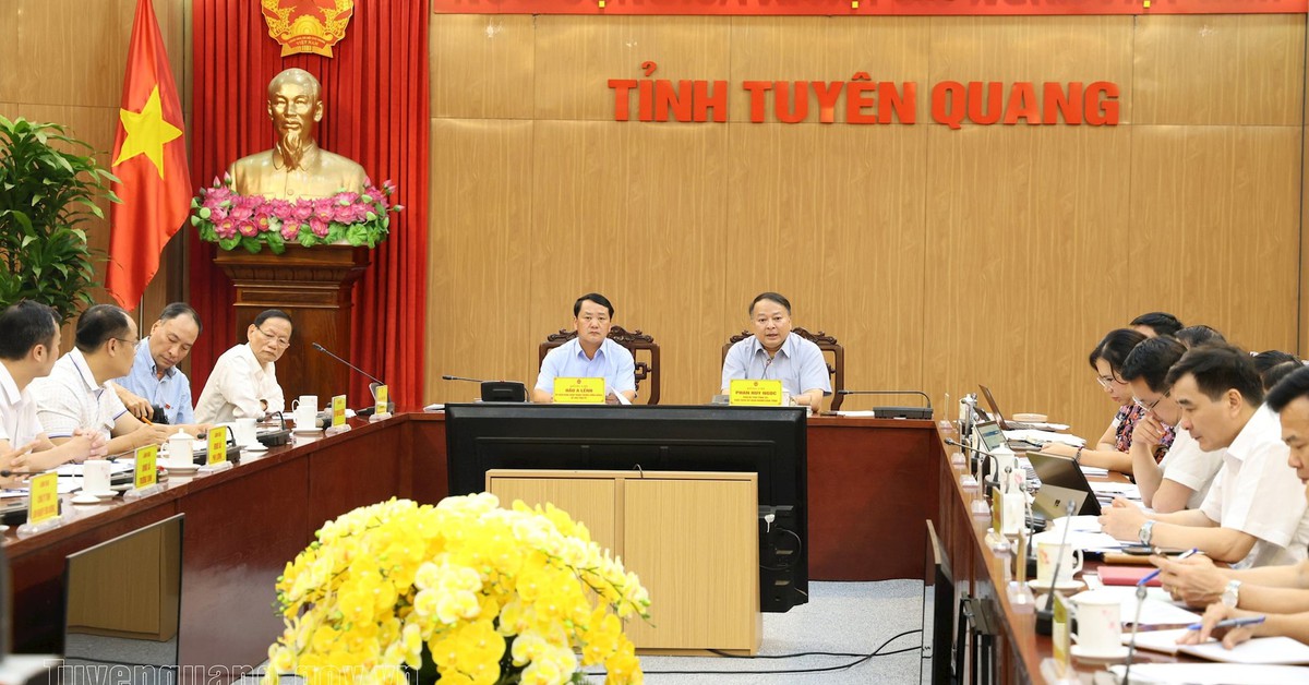 Đại gia Vũ Văn Tiền muốn chi 7.800 tỷ đồng để chăn nuôi lợn, trồng chè