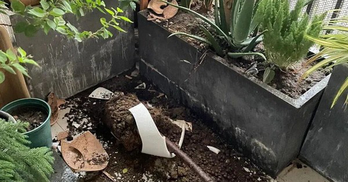 Tại sao ban công mở lại khiến nhiều người muốn đóng sau một năm?
