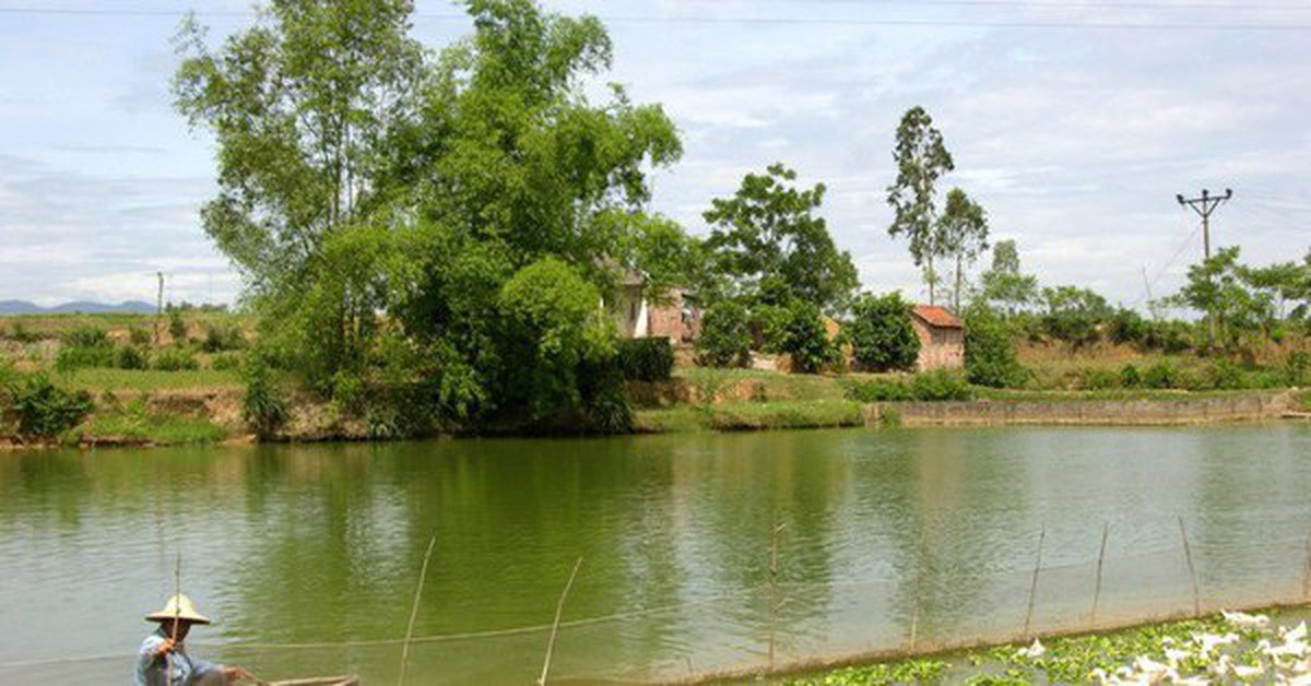 Tôi nhất quyết cấm mẹ tái hôn ở tuổi gần 50, cho đến ngày gặp người đàn ông ấy và chết lặng vì một sự thật từ 17 năm trước
