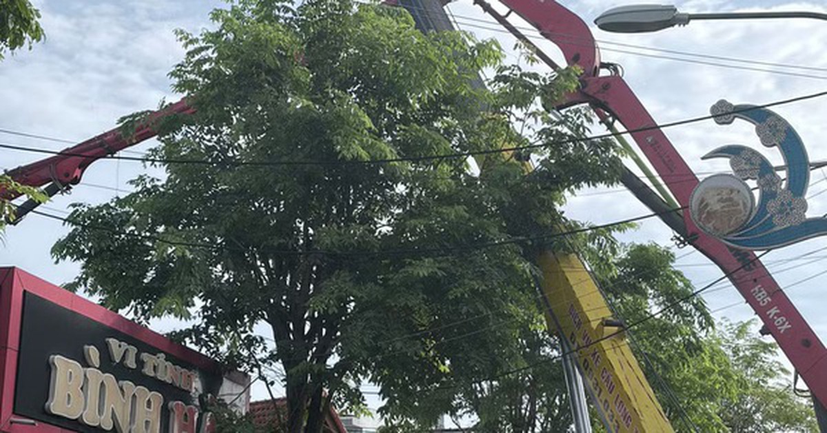 Gia Lai: Cần bơm bê tông bất ngờ gãy đổ, 3 người thương vong