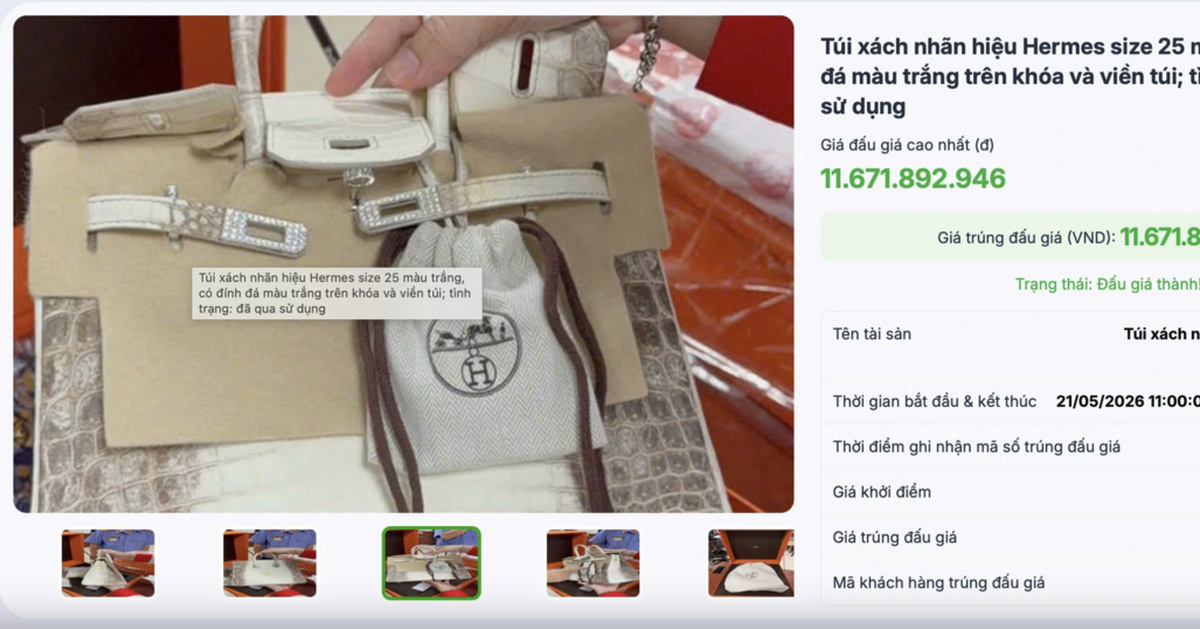 Đấu giá thành công 2 túi Hermès bạch tạng của Trương Mỹ Lan, thu hơn 14 tỷ đồng