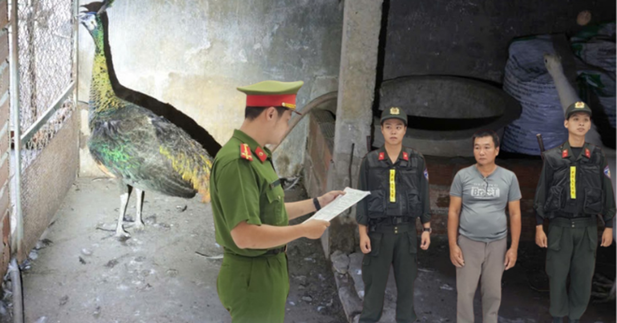 Thi hành lệnh bắt tạm giam người nuôi công Nguyễn Thế Cường SN 1977
