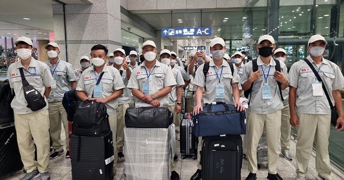 Người sắp đi xuất khẩu lao động tại Đức, Nhật Bản, Hàn Quốc,... chú ý: Cảnh báo khẩn từ ngân hàng!