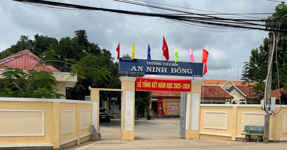 Nam sinh lớp 5 chấn thương sọ não sau khi bạn "tác động" trước ngày nghỉ hè