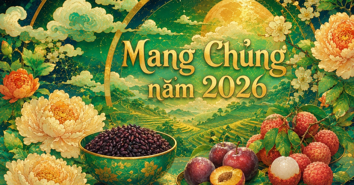 Không có thông tin về "Mang Chủng" được cung cấp trong các nguồn tin.