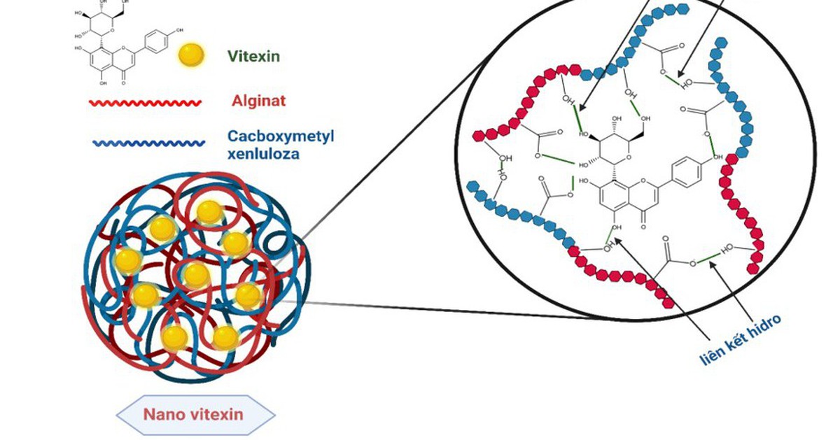 Độc quyền sáng chế: Việt Nam tạo đột phá nguyên liệu Nano công nghệ cao từ... vỏ đậu xanh