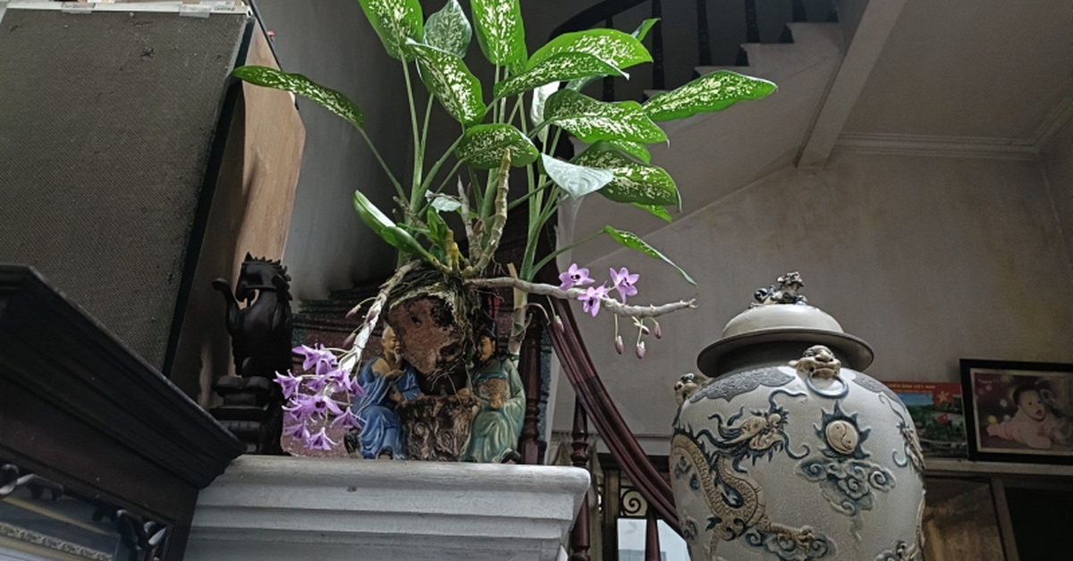 Nghe con rể báo "Con sợ vợ con quá" mà tôi bủn rủn, đến chính tôi cũng thấy con gái mình khó lường