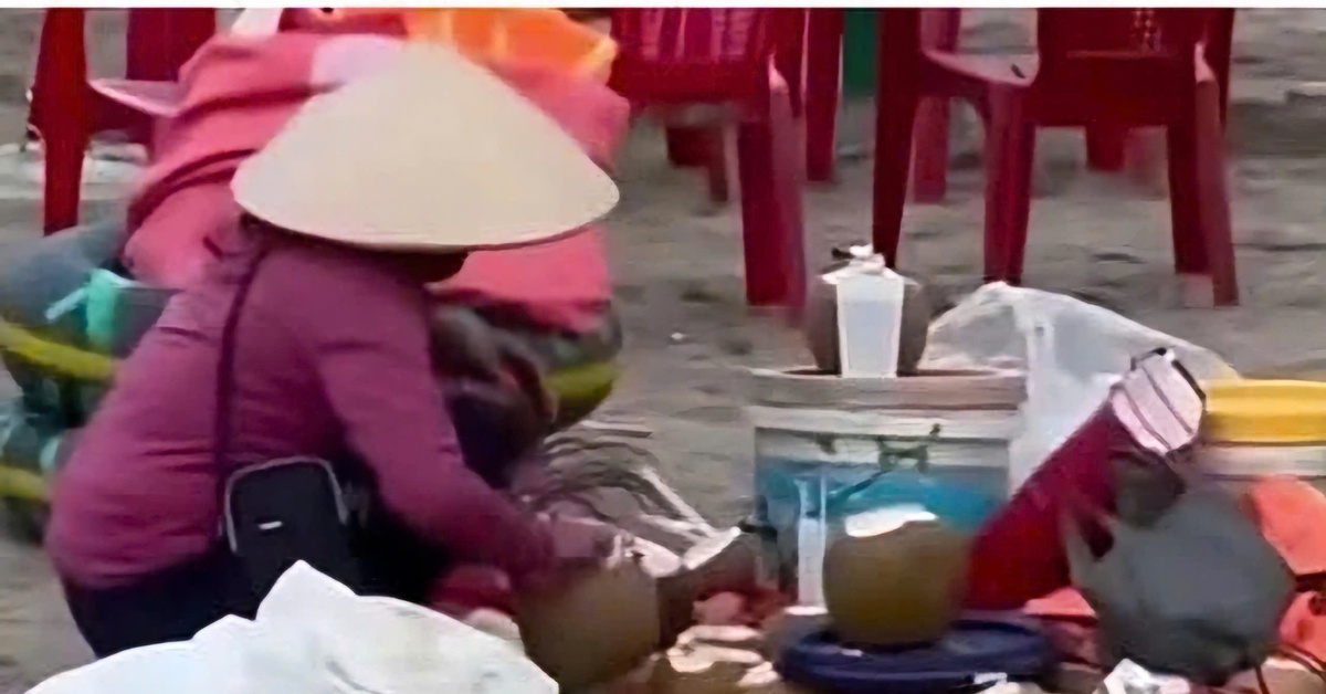 Gom nước dừa thừa ở bãi biển Ninh Bình: Chủ quán bị cấm kinh doanh