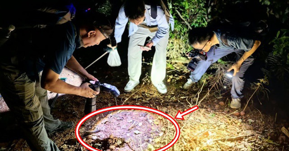 Chuyên gia sững sờ khi thấy sinh vật "hai đầu" kỳ lạ trong rừng