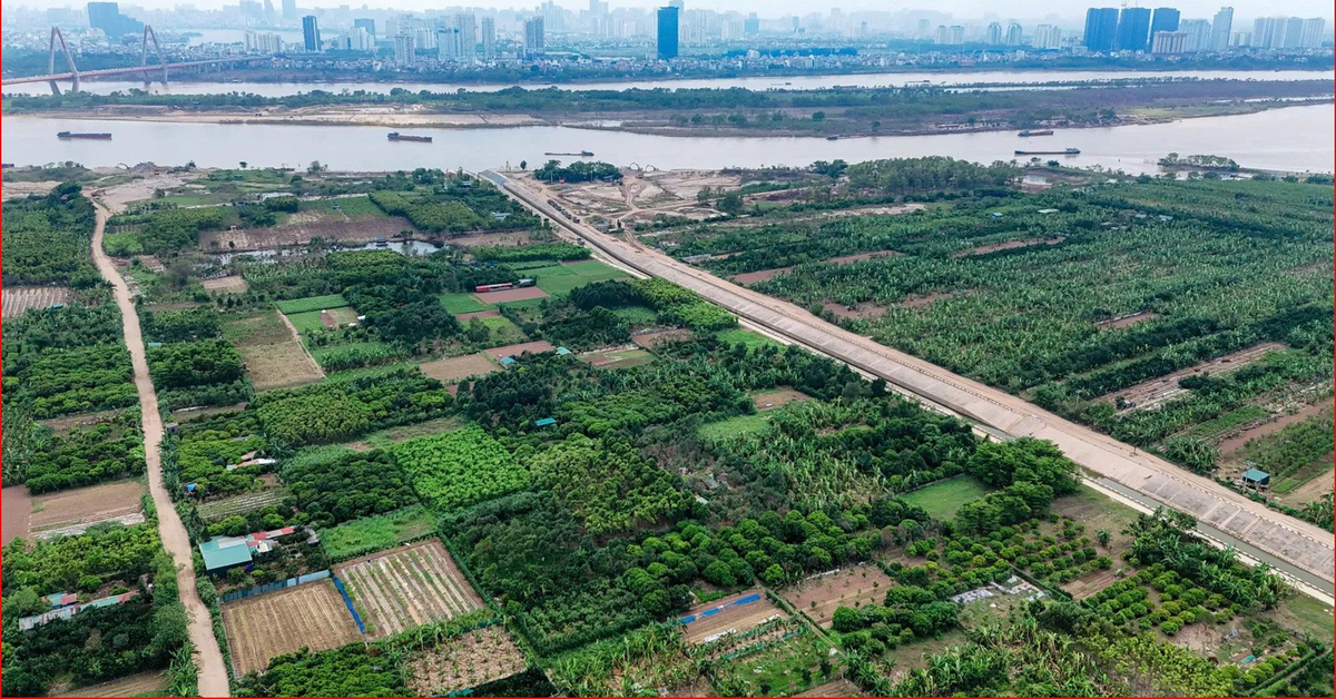 Tin vui: Người có đất nông nghiệp muốn chuyển đổi lên thổ cư thuộc trường hợp này sẽ được giảm 70% tiền sử dụng đất