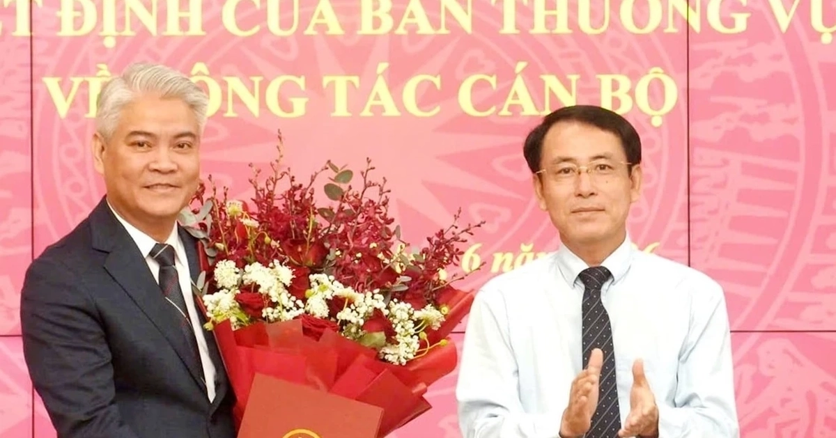 Tiếp nhận, điều động, bổ nhiệm nhân sự ở Hà Nội, TPHCM và 3 tỉnh