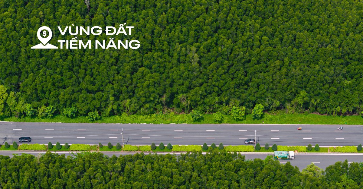 Toàn cảnh khu rừng rộng bằng 1/3 nội đô TP.HCM,...