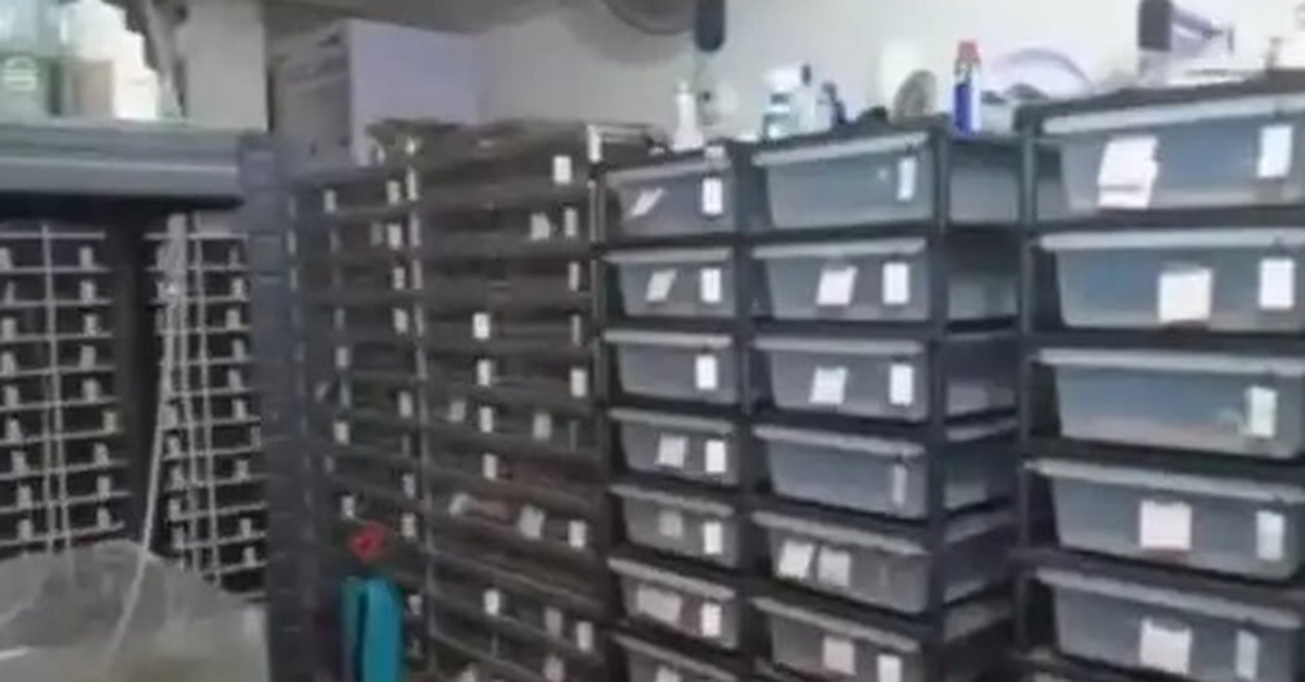 Phát hiện một căn hộ có lượng điện tiêu thụ nhiều bất thường, cảnh sát ập vào, chứng kiến cảnh tượng rùng mình