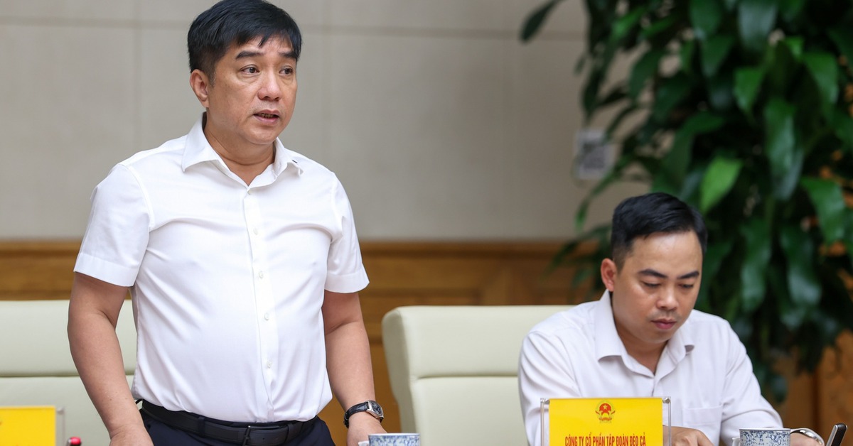 Chủ tịch Đèo Cả: Doanh nghiệp Việt phải "mượn" hồ sơ đối tác ngoại để tham gia các dự án lớn