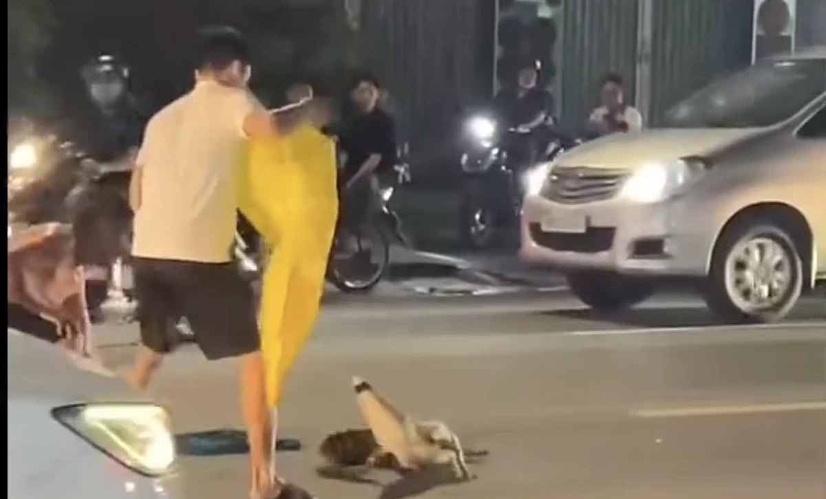 [Clip] Thót tim cảnh cá sấu "dạo chơi" trên đường giữa trung tâm TP.Đồng Nai