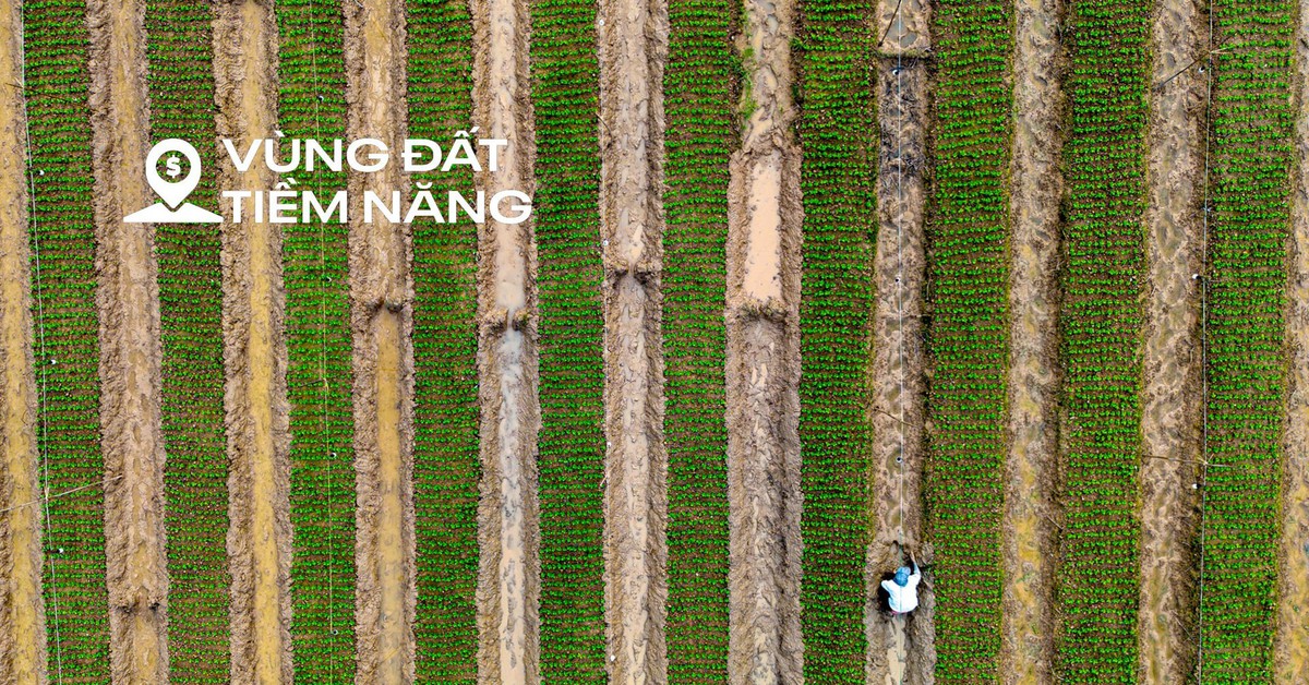Toàn cảnh khu vực rộng gấp 6 lần phường Hoàn Kiếm, từng là nơi sinh sống của gần 250.000 người dân Hà Nội...sắp được làm siêu dự án chưa từng có