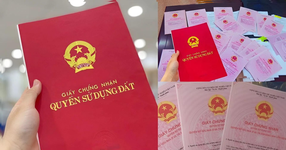 Năm 2026, những trường hợp sau sẽ bị thu hồi Sổ đỏ