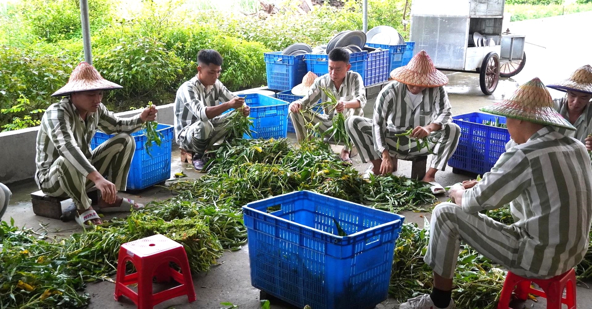 Từ hôm nay, mỗi tháng phạm nhân được gọi video về nhà 1 lần không quá 10 phút