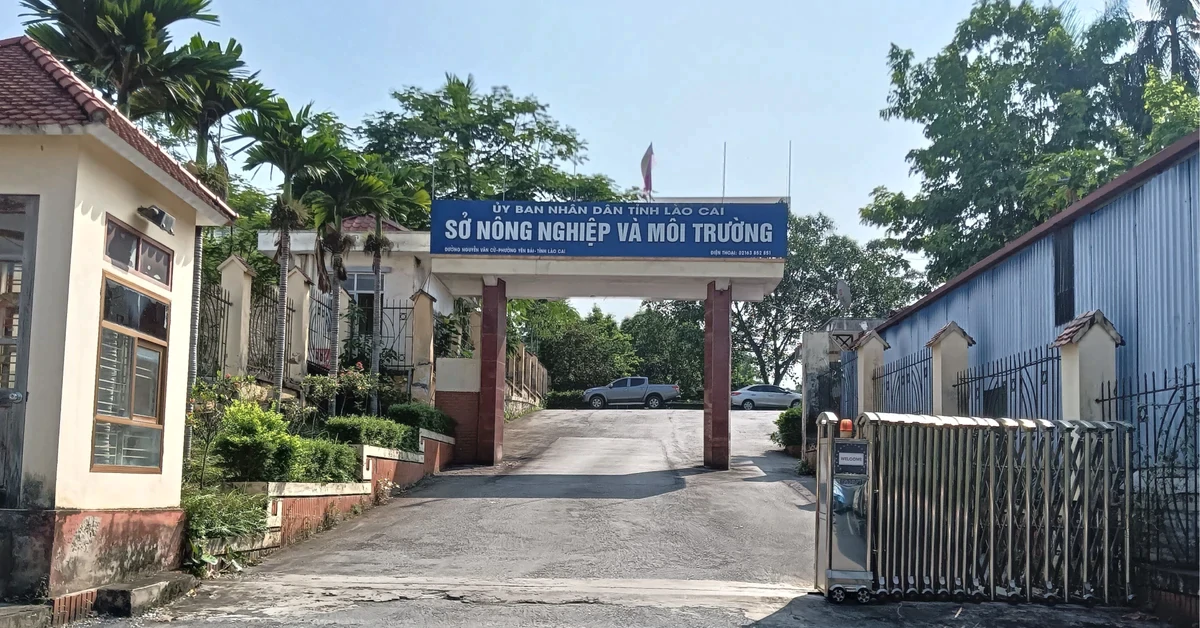 Nam cán bộ Sở Nông nghiệp và Môi trường Lào Cai tử vong treo cổ tại cơ quan