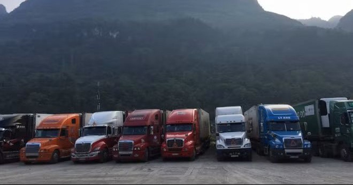 Chê lương 40-50 triệu vì vất vả và “thế hệ boomerang” mãi trong vòng tay mẹ