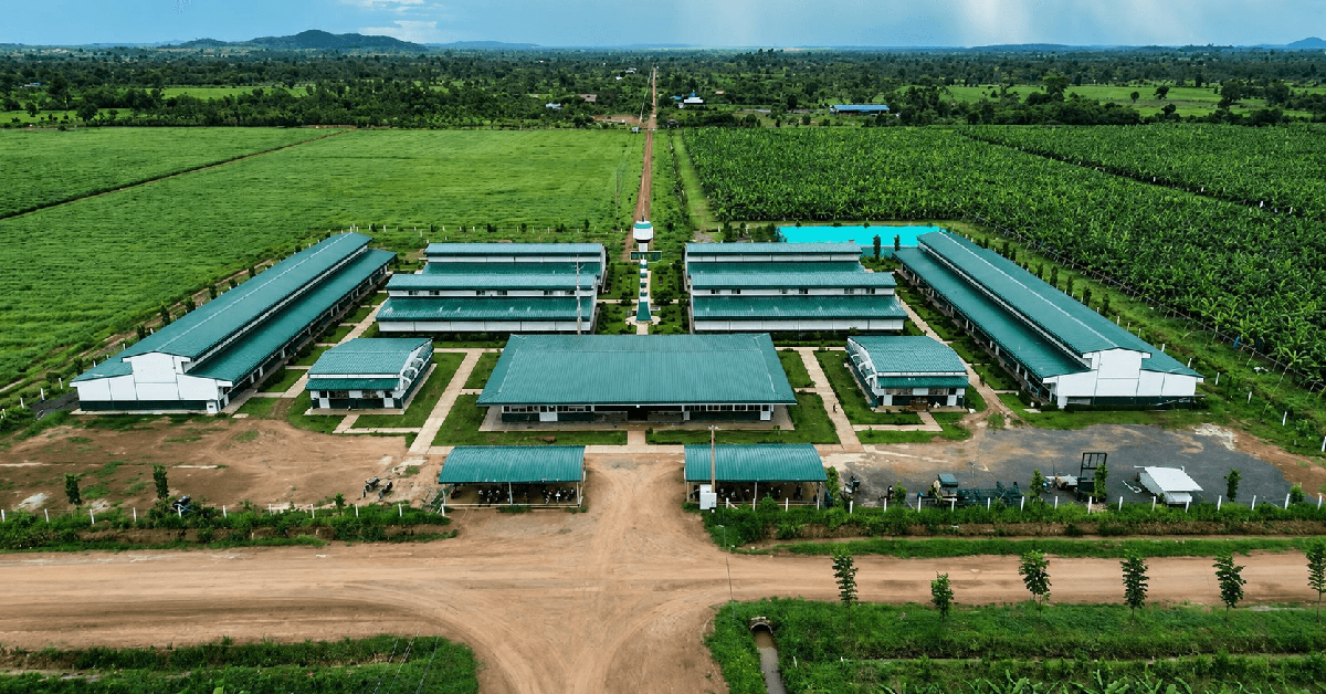 Công ty nông nghiệp của tỷ phú Trần Bá Dương báo lãi gấp 6 lần, nợ vượt 2,59 tỷ USD