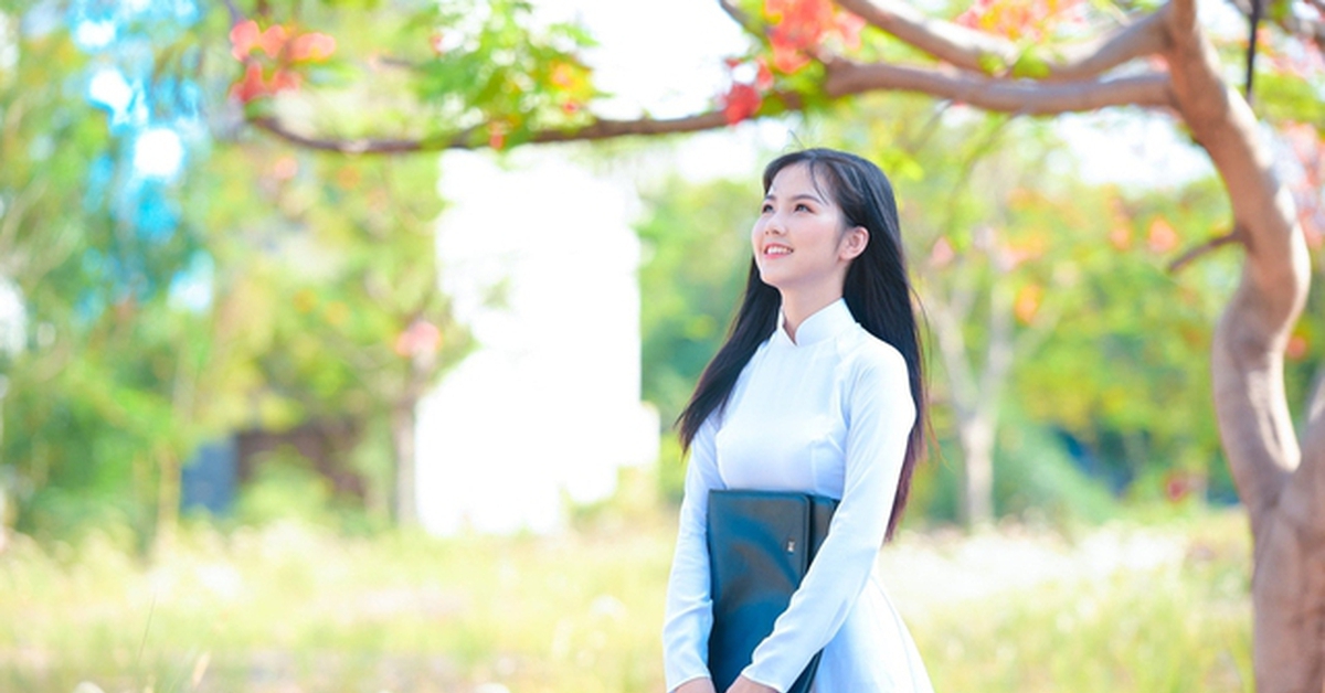 PHỔ ĐIỂM KỲ THI TỐT NGHIỆP THPT năm 2026