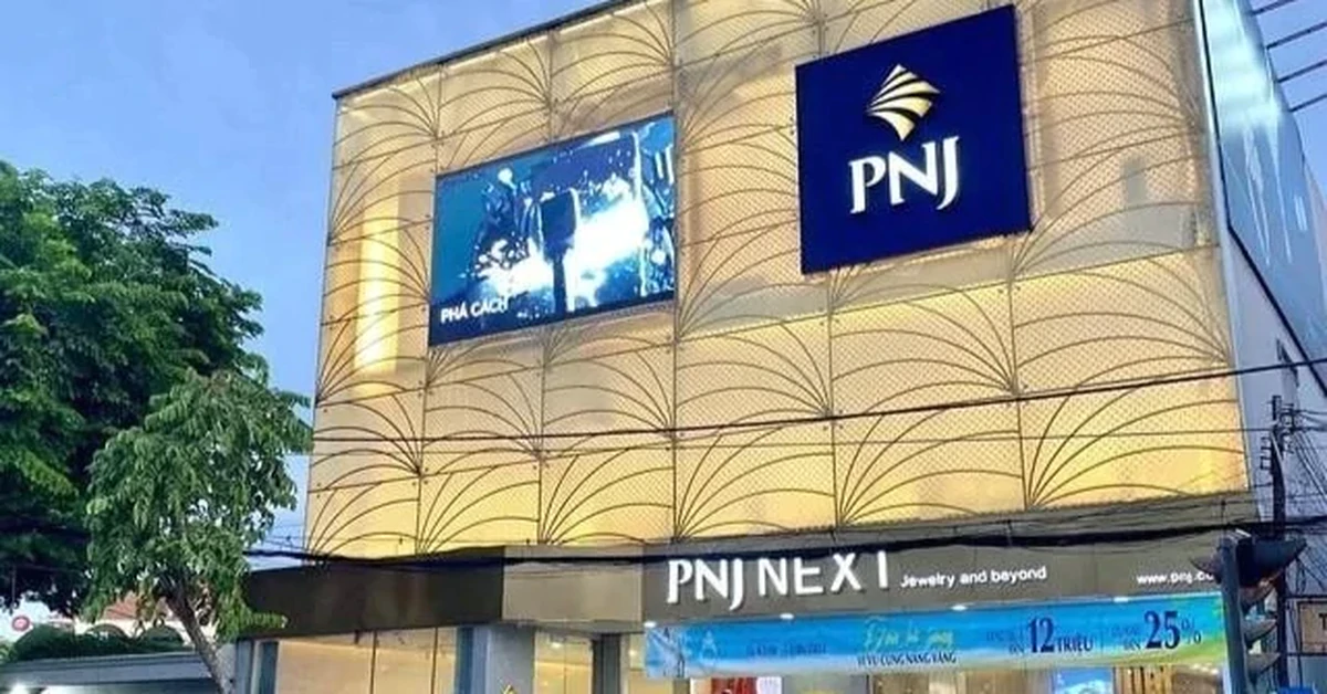 "Soi dòng tiền" PNJ giữa khủng hoảng kim cương: Hơn 3.500 tỷ đến từ đâu?