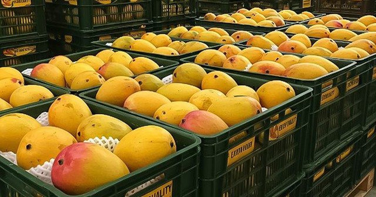 Một ngành hàng của Việt Nam lập kỷ lục tỷ USD chưa từng có, Trung Quốc, Mỹ, Hàn Quốc có đóng góp lớn