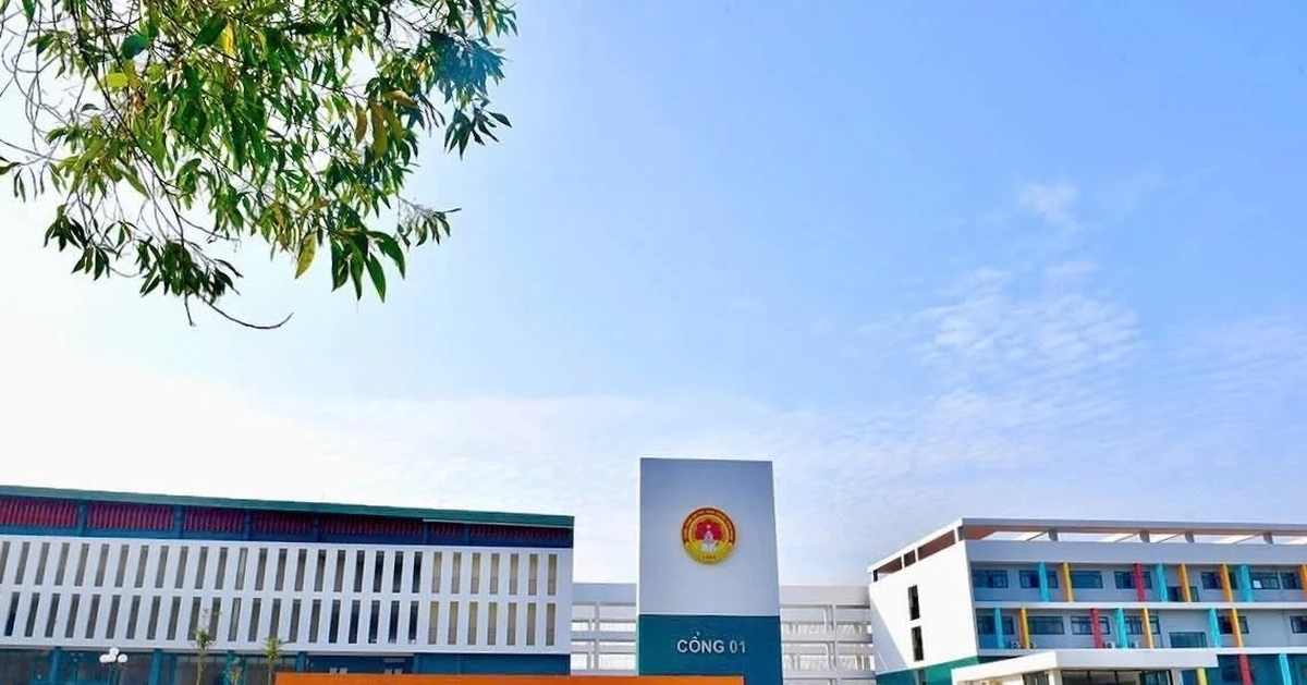 Bất ngờ nhóm học sinh vượt trội điểm Toán ở Tuyên Quang, rà soát lại khâu chấm thi